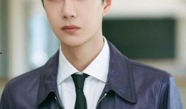 最新王一博资源爆料,多领域发展势头强劲